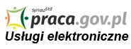 Usługi elektroniczne